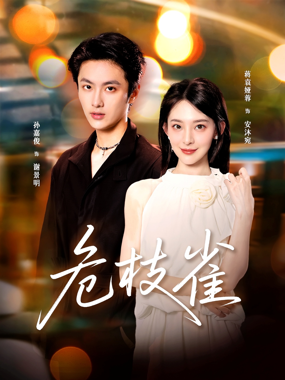 仙履奇缘2：美梦成真